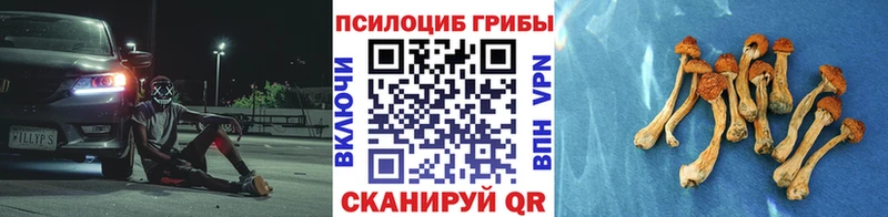 Псилоцибиновые грибы ЛСД  Реутов 